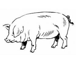 Rôti de Porc Orloff