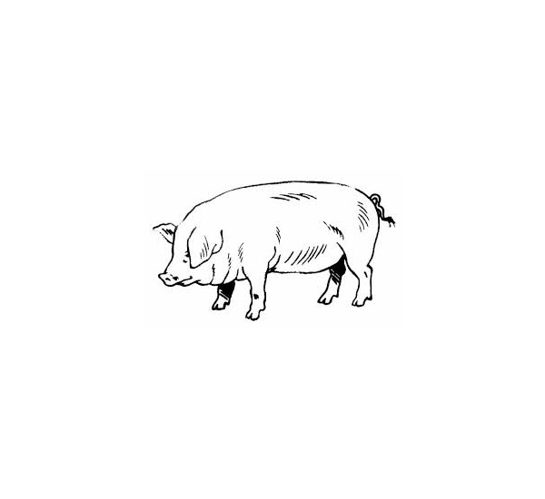 Rôti de Porc Orloff