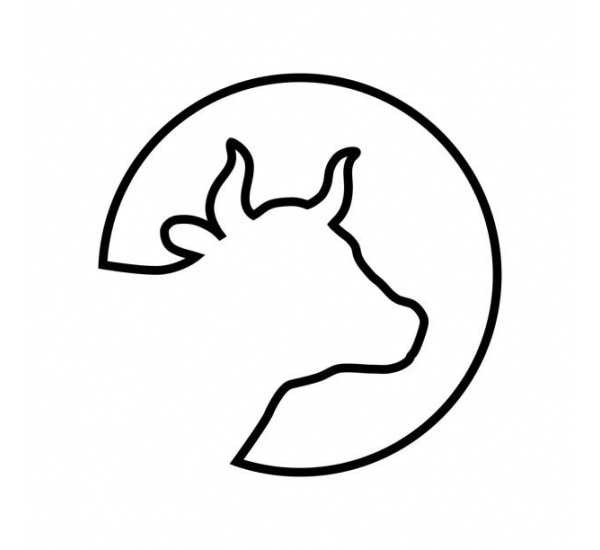 vache